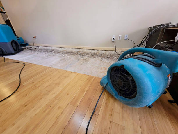 Professional Sewage Cleanup technician working in Carefree, AZ